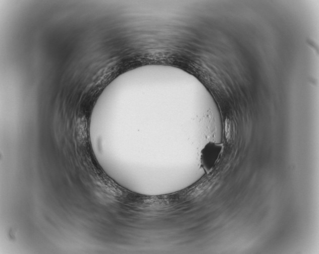 X0000095921107200802011206