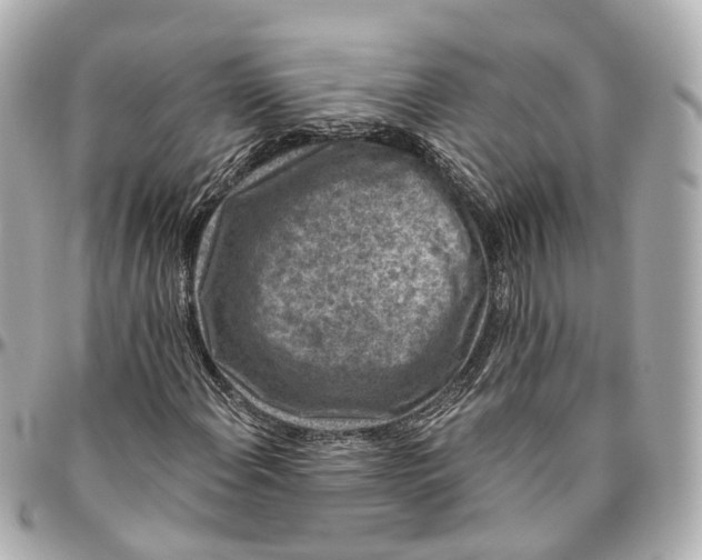 X0000095921108200802011206