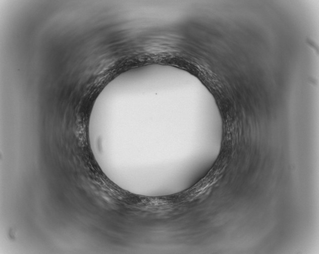 X0000095921109200802011206