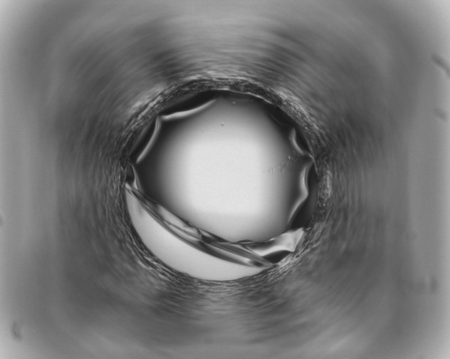 X0000095921110200802011206