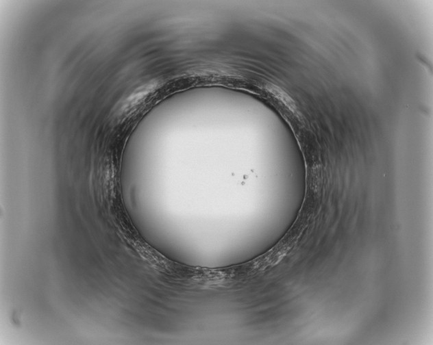 X0000095921111200802011206