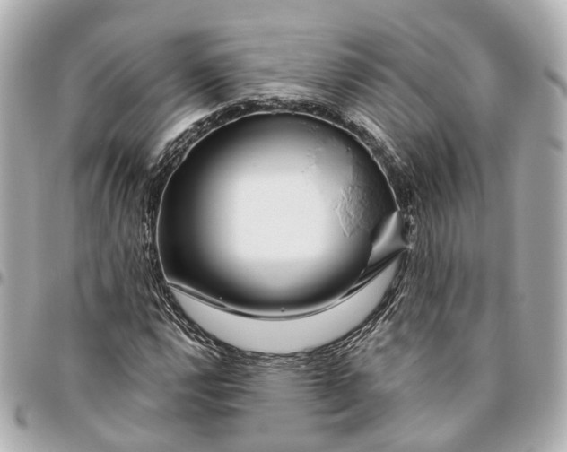 X0000095921112200802011206