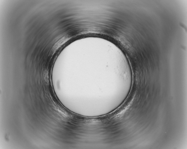 X0000095921113200802011206