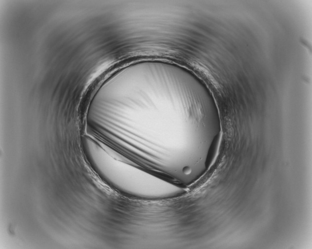 X0000095921114200802011206