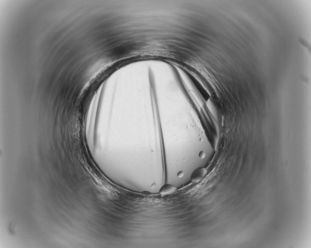 X0000095921115200802011206