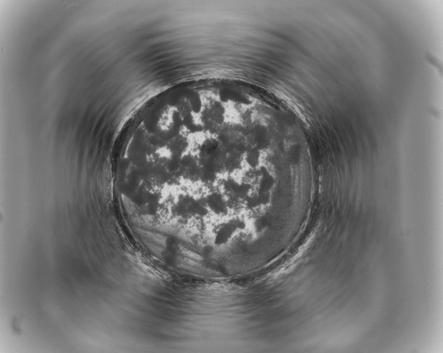 X0000095921117200802011207