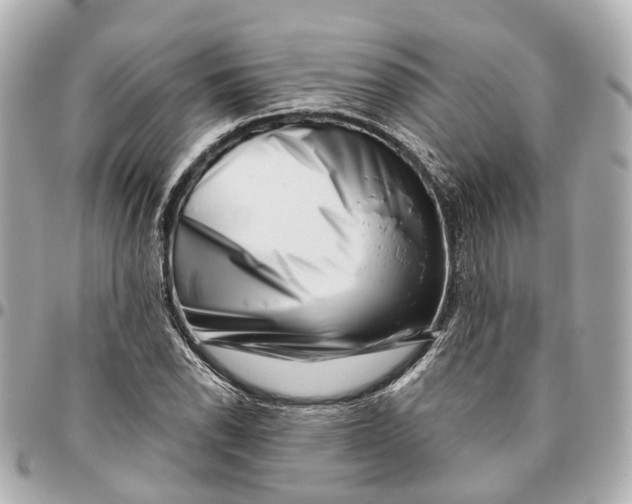 X0000095921118200802011207