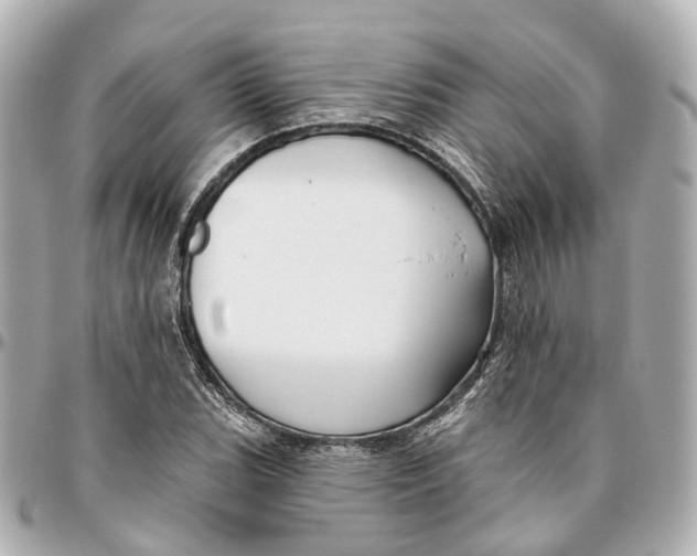 X0000095921119200802011207