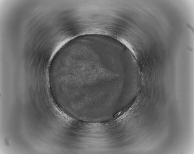 X0000095921120200802011207