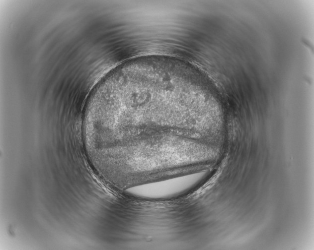 X0000095921121200802011207