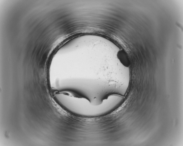 X0000095921122200802011207