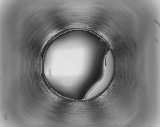 X0000095921123200802011207