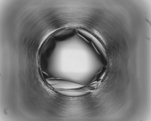 X0000095921124200802011207