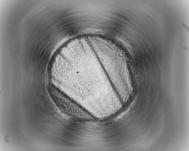 X0000095921125200802011207