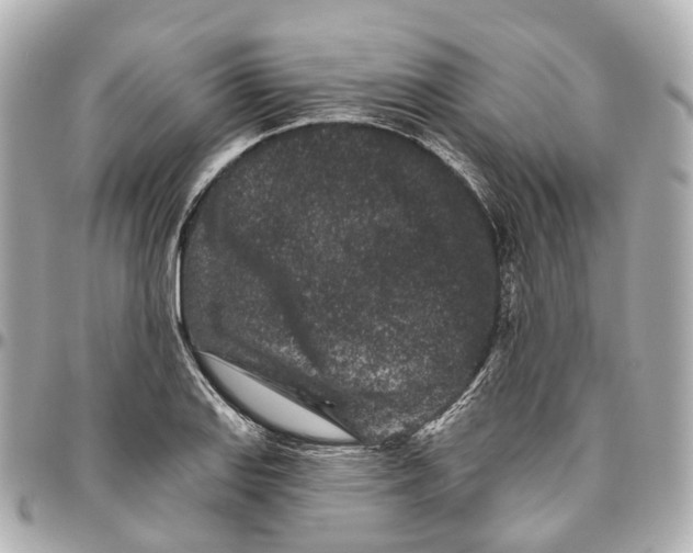 X0000095921127200802011207