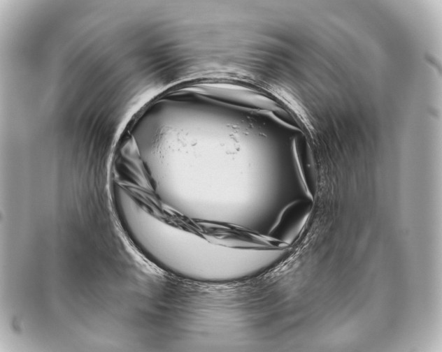 X0000095921128200802011207