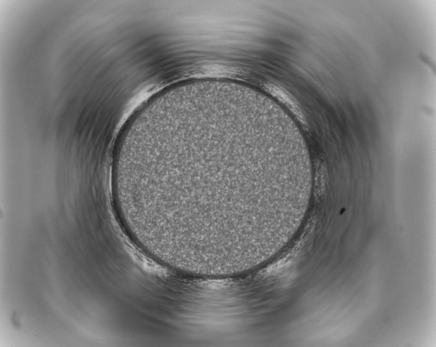 X0000095921130200802011207