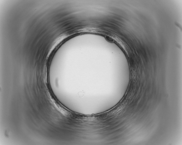 X0000095921131200802011207