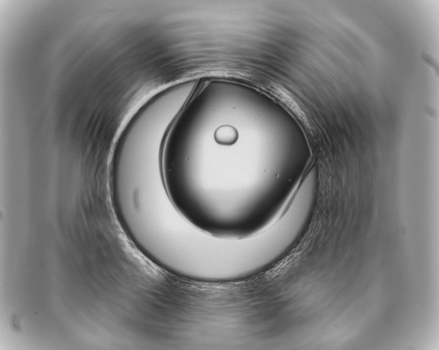 X0000095921132200802011207