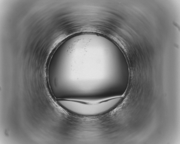 X0000095921133200802011207