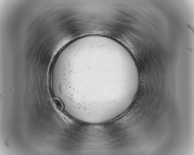 X0000095921135200802011207