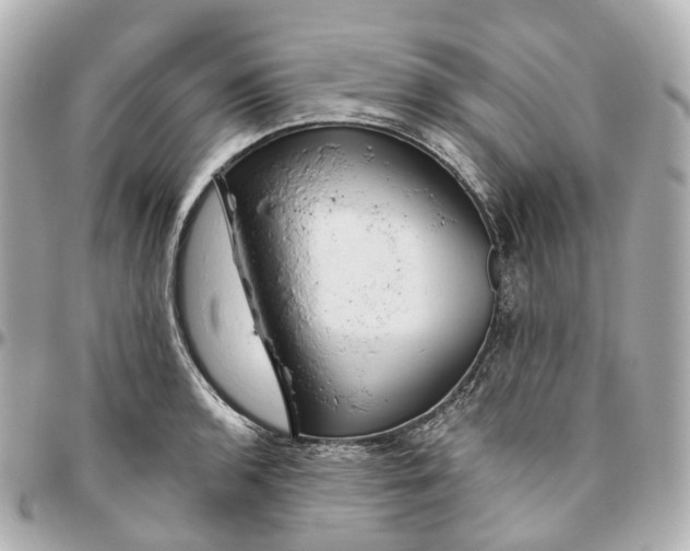 X0000095921136200802011207