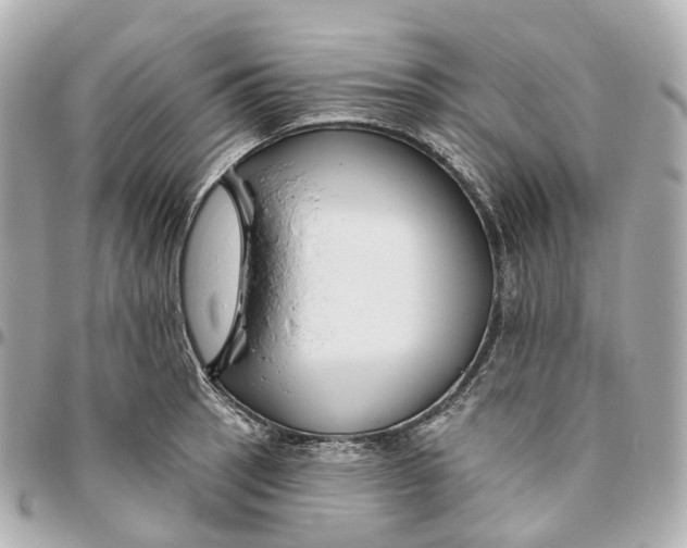 X0000095921137200802011207