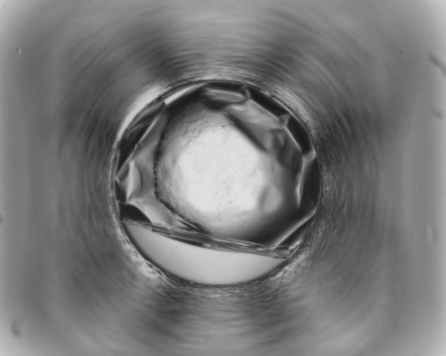 X0000095921138200802011207