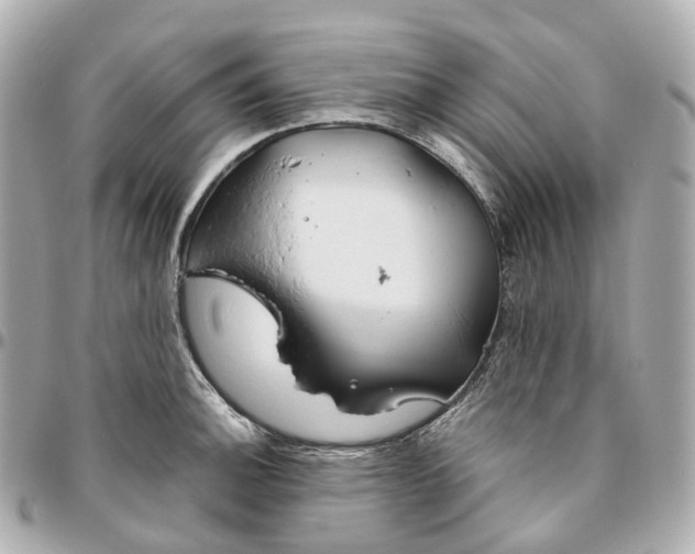 X0000095921140200802011207