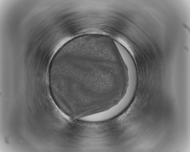 X0000095921141200802011207