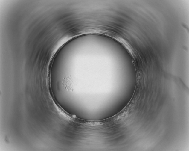 X0000095921143200802011207