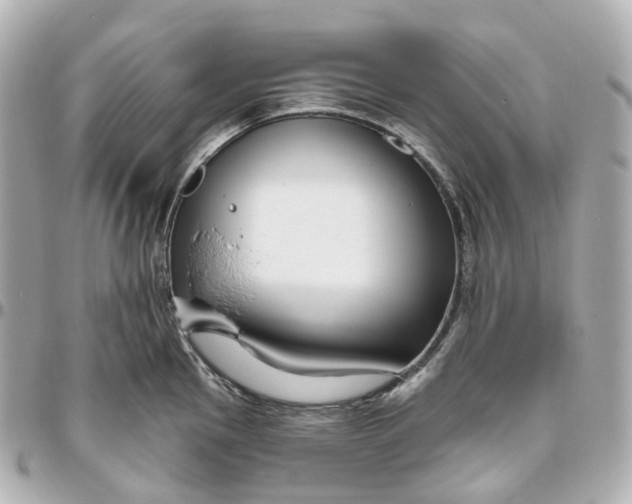 X0000095921145200802011207