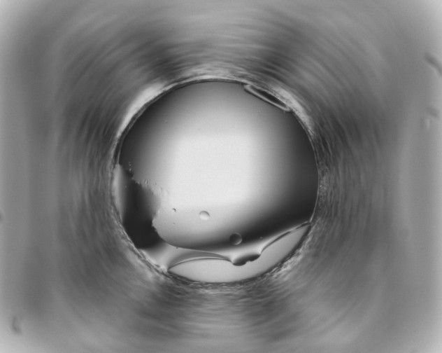 X0000095921146200802011207