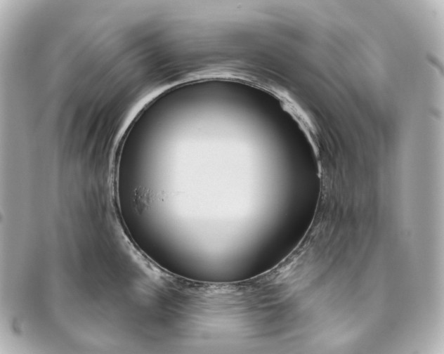 X0000095921148200802011207