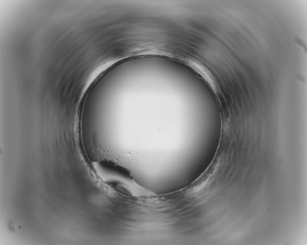 X0000095921149200802011207