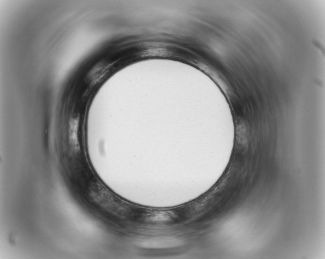 X0000095921150200802011207