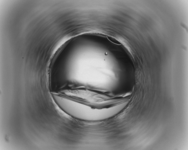 X0000095921151200802011207