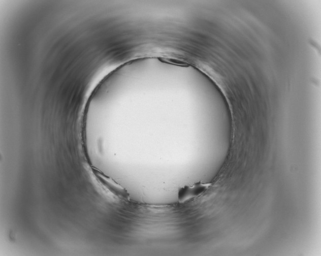 X0000095921152200802011207