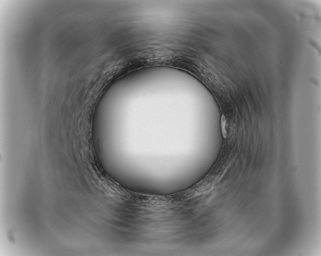 X0000095921153200802011206