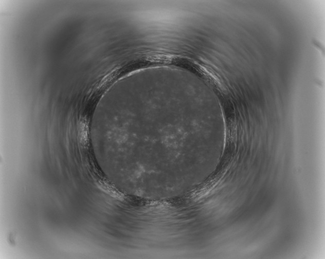 X0000095921154200802011206