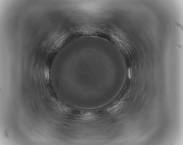 X0000095921155200802011206