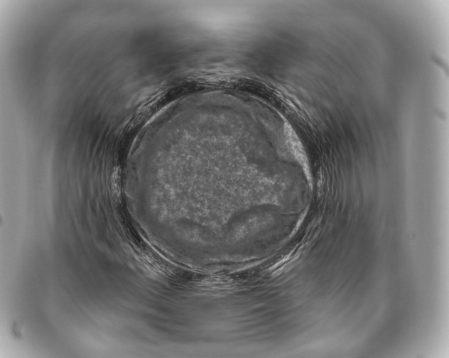 X0000095921156200802011206