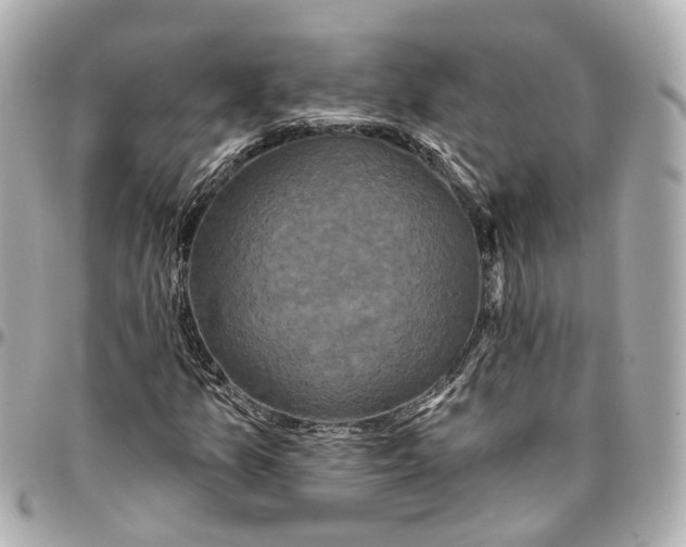 X0000095921157200802011206