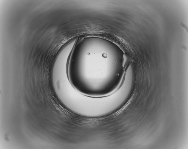 X0000095921161200802011206