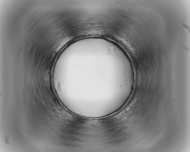 X0000095921162200802011206