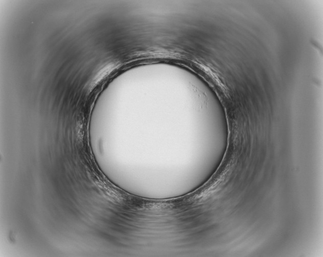 X0000095921163200802011206