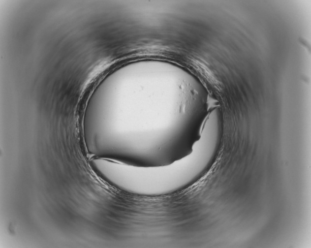 X0000095921164200802011206