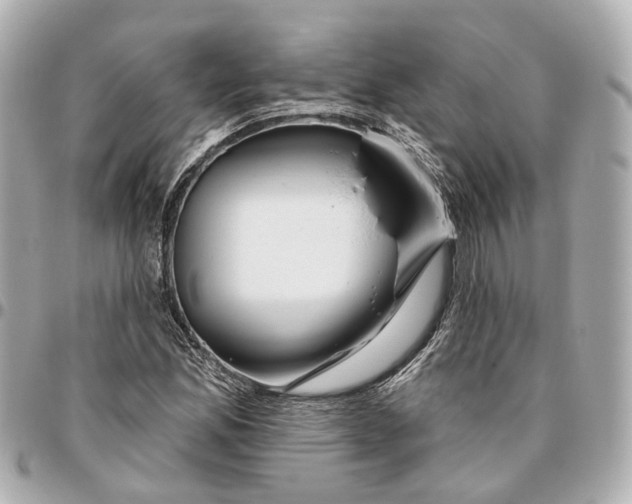 X0000095921165200802011206