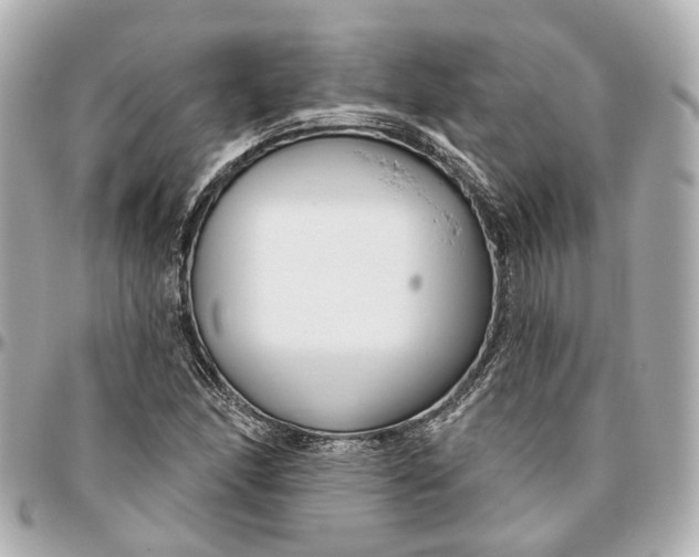 X0000095921166200802011206