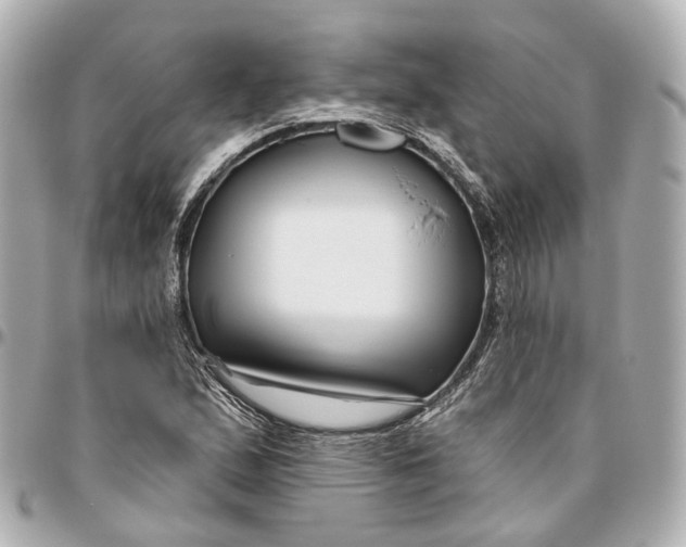 X0000095921167200802011206